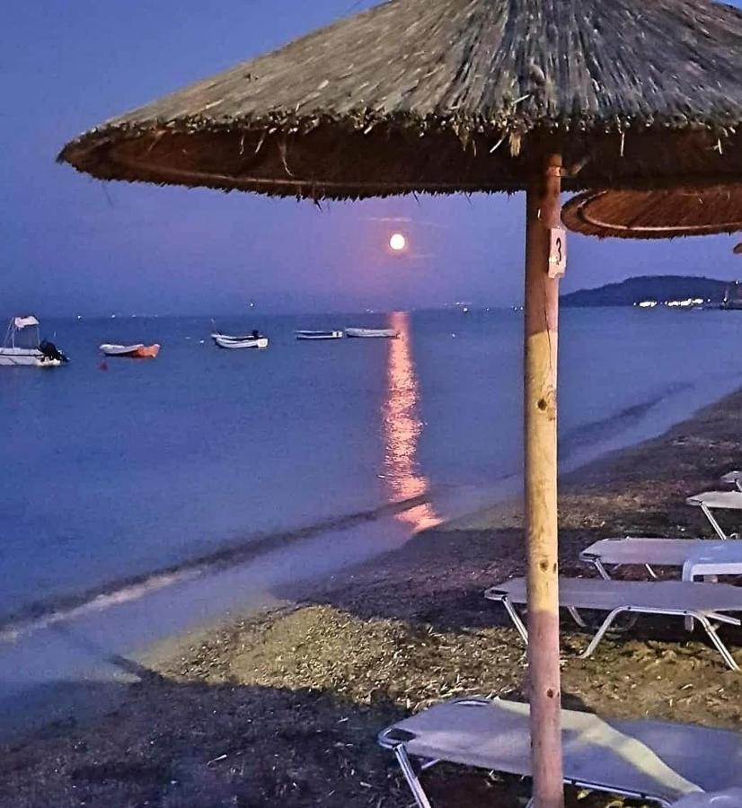 Daire Corfu Olivia Moraitika