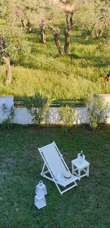 Corfu Olivia * Moraitika